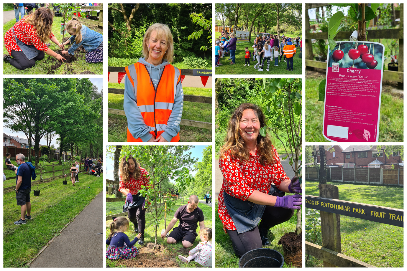 Royton Linear Park is putting down roots with 50 new fruit trees and bushes, funded by our ROCA community grant initiative.